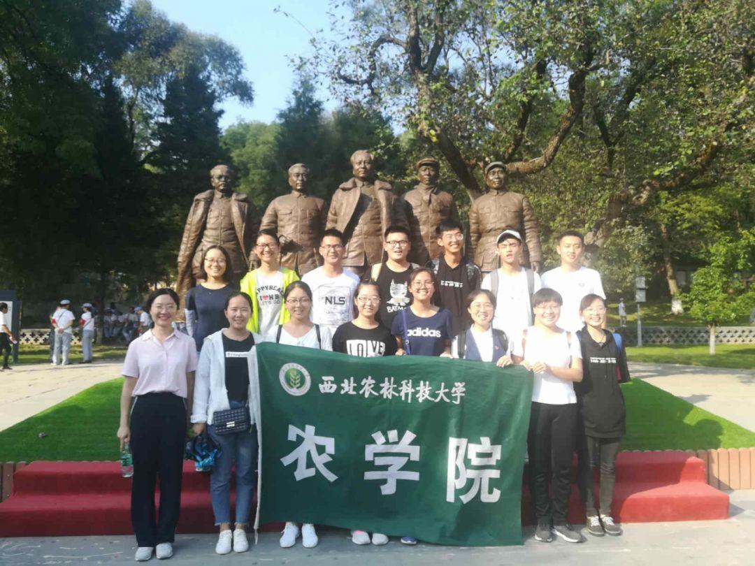 逗小猴开心系列205